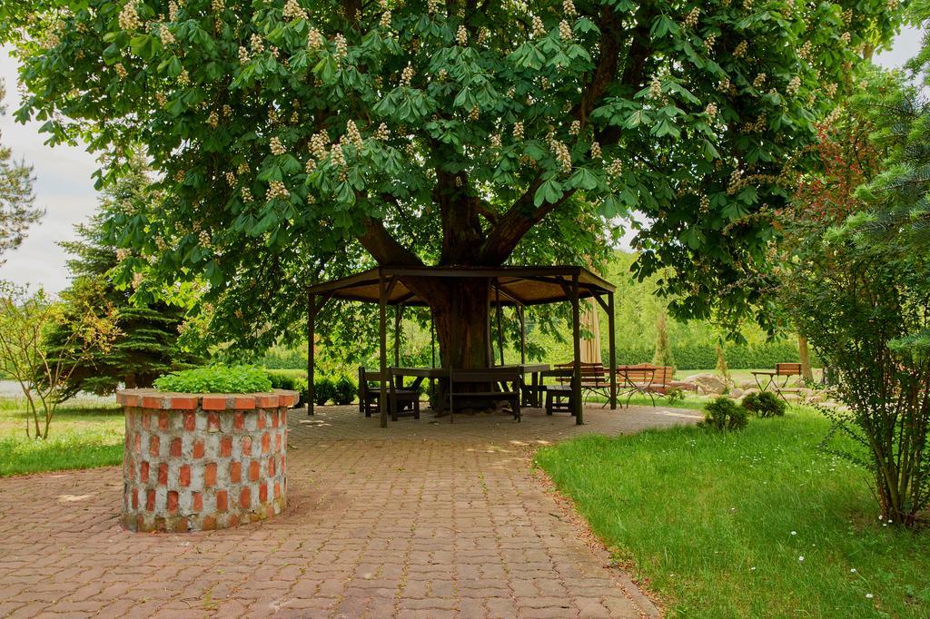 Bed and Breakfast Rancho Mała Nieszawka Esterno foto